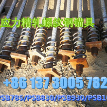 精軋螺母/精軋連接器/曉軍緊固件/精軋螺紋鋼