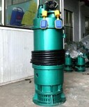 工矿设备BQS隔爆型潜水排污泵bqs潜水泵选型图片5