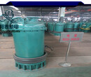 BQS隔爆型排污排沙潜水泵BQS10-23-1.5KW排污泵销售图片