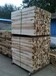 莱西木材加工厂建筑木方厂家