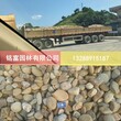 广东鹅卵石1天然鹅卵石鹅卵石厂家珠海珠海卵石价格砾石图片