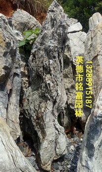 庭院景观石批发1庭院英石条石摆景浙江景观石英石石价格