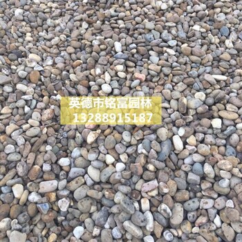 广东鹅卵石厂家1饮用水处理鹅卵石污水处理鹅卵石天然小河石价格