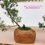 黄蜡石石盆3广东盆景石出售山水盆景石盆景石厂家