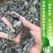 小青龙石价格3纹路好的小英石价格小青龙石