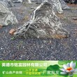 一米的切片泰山石价格4泰山石切片价格广东切片石地址在那里图片