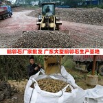广东大型鹅卵石生产基地3天然鹅卵石装车中发往深圳