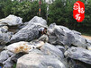 矿山开采广西太湖石观赏石材天然景观石庭院假山石园林摆件