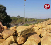 自有礦山開采黃蠟石原產地-自然景觀石假山黃蠟石-噸位石可定制
