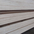 木板材创新型的免熏蒸LVL木方LVL多层板图片