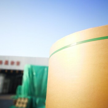 金荷供应山东太阳淋膜纸涂布纸中出口品质