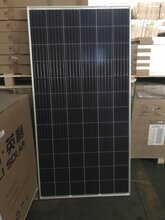 品牌太阳能光伏组件200W-320W低价抛售图片