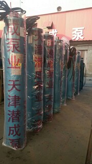 天津高扬程热水泵大功率深井热水泵天津深井热水泵价格深井热水泵型号图片1