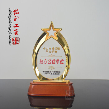 中山表彰热心公益单位奖牌水晶拼木底座纪念牌