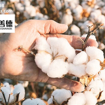 尚善德提醒國(guó)慶節(jié)假期已過采購(gòu)速度哦