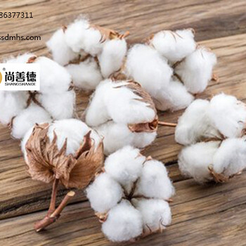 尚善德：鄭棉價格反彈現(xiàn)貨仍難穩(wěn)定