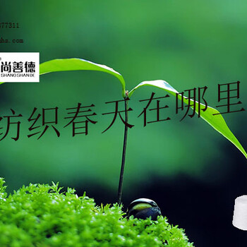 尚善德：紡織行業(yè)春天在哪里？