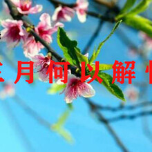 尚善德中小紡企走出二月三月何以解憂圖片