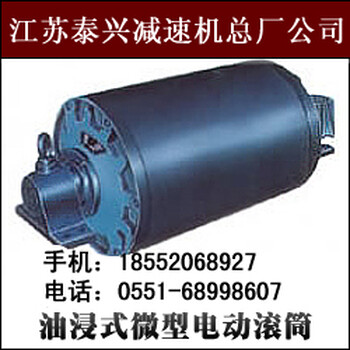 厂家供应YBD型双速油浸式微型电动滚筒