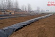 西平养猪场新型沼气池工程设计黑膜价格