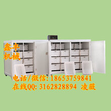江苏徐州全自动豆芽机怎样用豆芽机发豆芽鑫丰机械无公害豆芽机图片