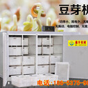 邢臺多功能豆芽機價格鑫豐豆芽機生產(chǎn)視頻十年保修