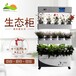 阳台无土栽培设备生态消毒净化柜智能蔬菜种植机C003-2