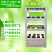 无土栽培阳台种植设备全智能生态菜养柜A003