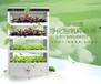智能植物工厂室内制氧家庭型蔬菜种植机植物净化B001