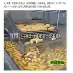 速冻玉米加工设备玉米蒸煮机保鲜玉米加工设备
