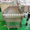 生蠔清洗機生蠔專用清洗設備