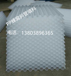 陕西省铜川市锯齿形不锈钢集水槽六角蜂窝斜管填料使用方法图片3