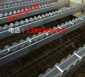 甘肃省张掖市不锈钢集水槽斜管填料信息电话图片5