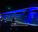郑州有机玻璃工厂承接大型生态亚克力景观水族箱鱼缸工程