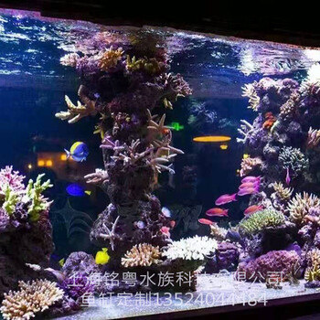 天津有機玻璃工廠承接大型生態(tài)超白玻璃景觀水族箱魚缸造景工程