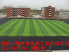 郴州临武县专业人造草足球场建设施工湖南一线体育设施工程有限公司