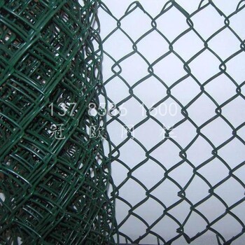 河北包塑絲勾花網(wǎng)廠家