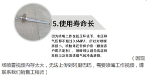浙江自动伸缩式脱硝喷枪、SNCR脱硝、上海湛流厂家图片5