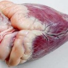 山东生产羊腿羊蹄山羊肉羊肚羊排肉等批发图片