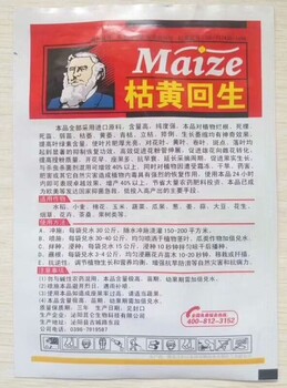 辣椒黃萎病用什么藥好枯萎病立枯病藥