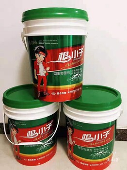 根小子微生物菌剂有益活性菌2.0亿/ml（含枯草芽孢杆菌）