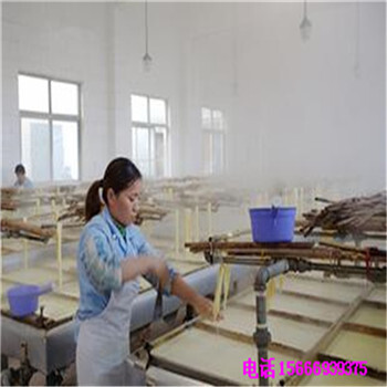 甘肃腐竹机生产线财顺顺不锈钢豆油皮机厂家