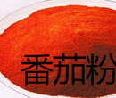 番茄粉喷雾干燥西红柿粉oem贴牌代加工图片