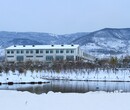 不用去台湾洛阳就有“虎山温泉”图片