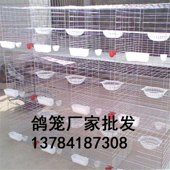 FC鍍鋅鐵絲鴿子籠生產(chǎn)廠家三層鴿籠鴿子配對(duì)籠批發(fā)