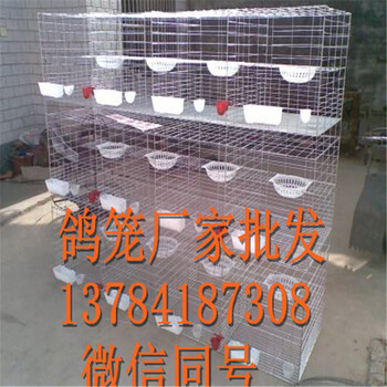 鴿子籠網(wǎng)片廠家批發(fā)價(jià)格1鍍鋅鐵絲網(wǎng)鴿子籠配件