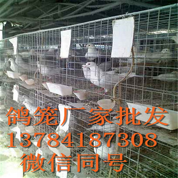 鍍鋅鐵絲焊接鴿子籠網(wǎng)片1肉鴿配對籠鴿子籠三層十二位