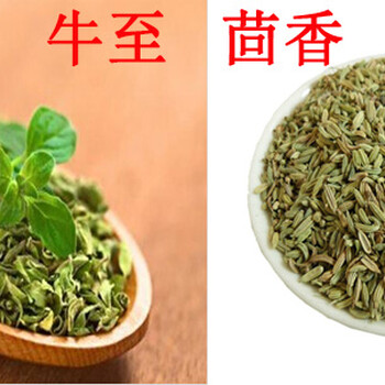 济南天天香供应天诺康（牛至油），抗菌，预防幼畜黄白痢