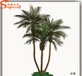仿真美丽针葵刺葵细叶人造塑料植物盆栽仿真棕榈植物