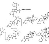 微生物代谢产物分离纯化唯创前沿口碑好,唯创科技分离纯化技术服